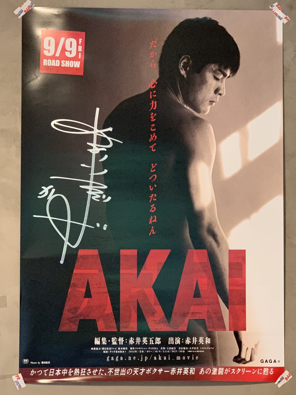 人気 akai ポスター